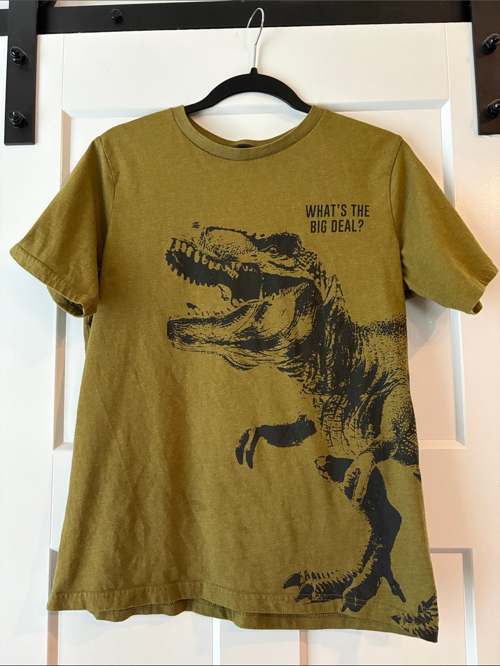 Kids Olive Dinosaur Graphic Tee - Brand: